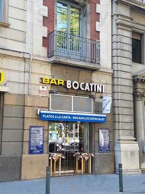 Bocatini