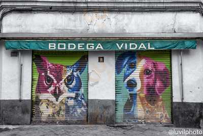 Bar Bodega Vidal