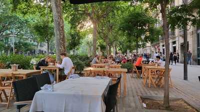 La Tagliatella Passeig Sant Joan, Barcelona