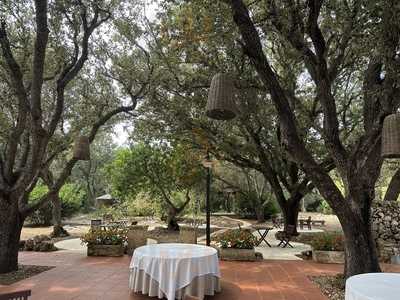 Sant Ignasi Restaurant