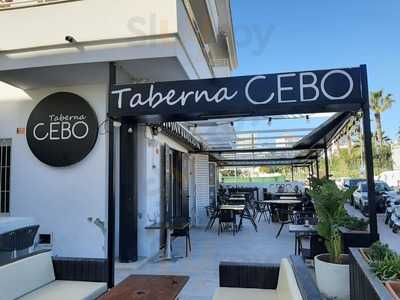 Taberna Cebo