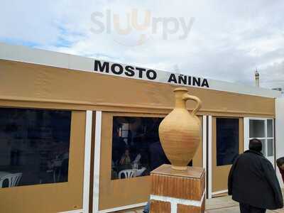 Mosto Anina