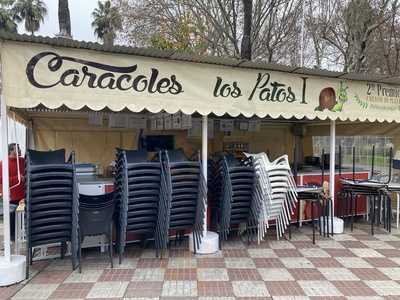 Caracoles Los Patos I