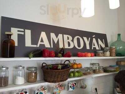 Flamboyan