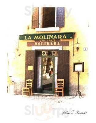 La Molinara, Verona