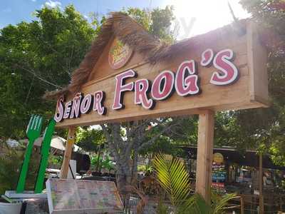 Señor Frogs Tenerife