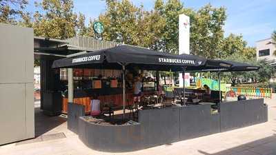 Starbucks Momentum Magaluf