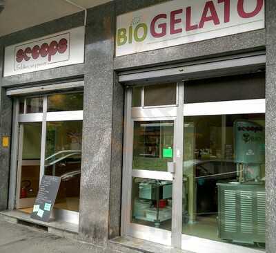 Scoops Gelateria Biologica