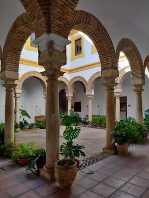 Cafeteria Filosofia Y Letras