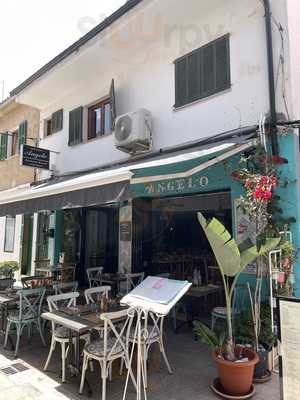 Angelo Restaurant