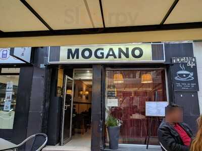 Mogano