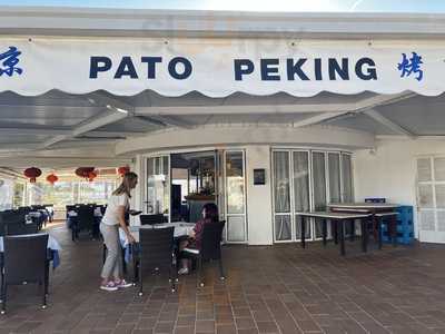 Pato Peking