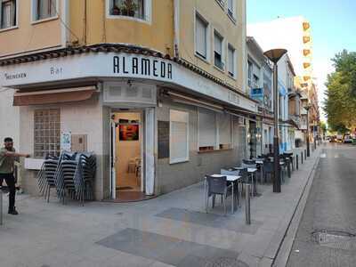 Bar Alameda