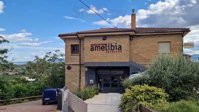 Amelibia