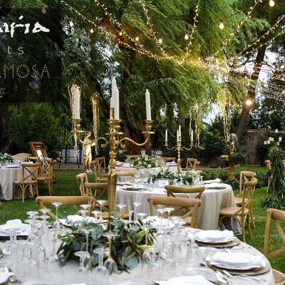 Sparagaria Events