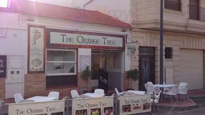 The Orange Tree Algorfa