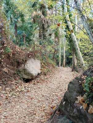 Font De La Corbadora