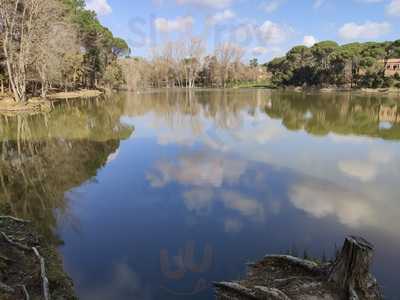 Llac Del Cigne