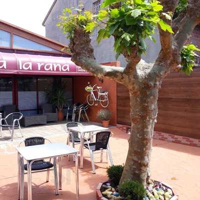 Restaurante Canta La Rana