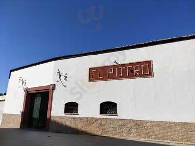 El Potro