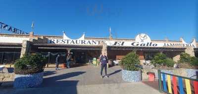 Restaurante El Gallo