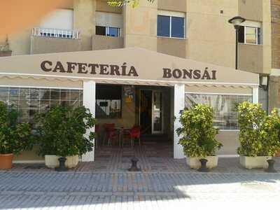 Cafetería Bonsai