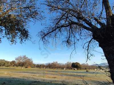 Dehesa Vieja "la Sede Del Juven