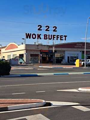 Wok Buffet Restaurant Oriental 222