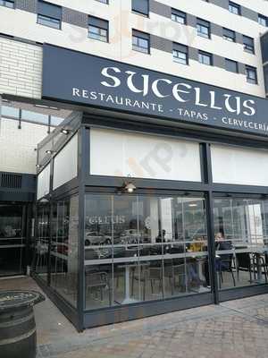 Sucellus