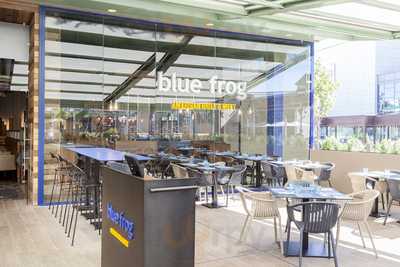 Blue Frog