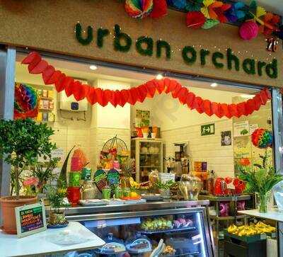 Urban Orchard Organic Vegan Health Bar