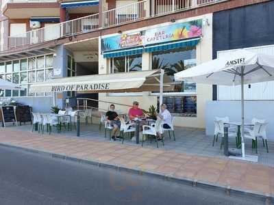 Bird Of Paradise Bar-cafeteria