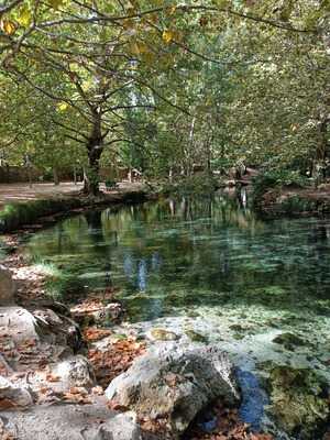 Torreon Las Fuentes