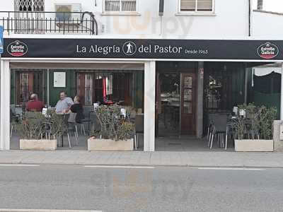 La Alegria Del Pastor