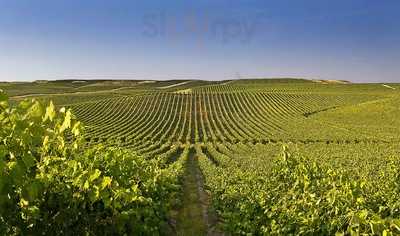 Bodegas Príncipe De Viana