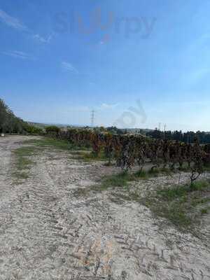 Cantina Zisola, Noto