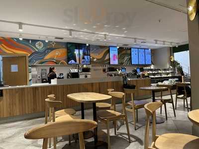 Starbucks Eci Preciados