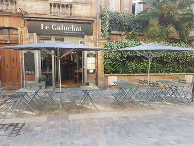 Le Galuchat, Toulouse