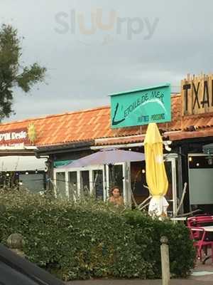 L'etoile De Mer, Anglet