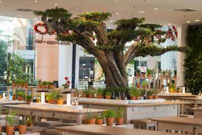 Vapiano Rouen, Rouen