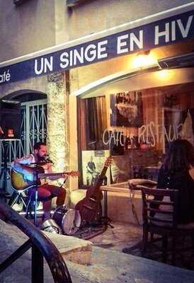 Un Singe En Hiver, Narbonne