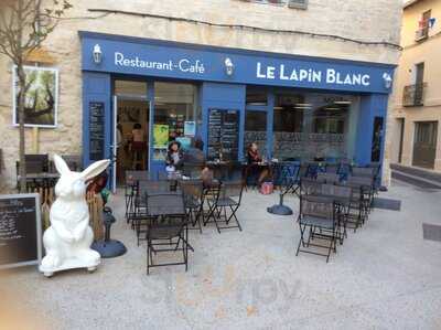 Le Lapin Blanc, Avignon