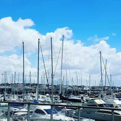 Le Dauphin, Royan