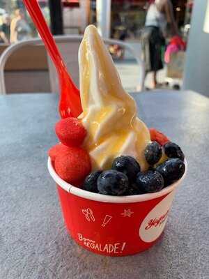 Yogurt Factory, Cagnes-sur-Mer