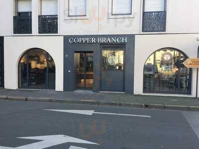 Copper Branch, Angers