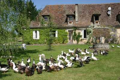 Ferme Auberge de Biorne, Lunas