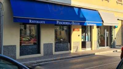 Pescheria Il Riccio