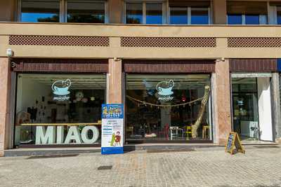 Micibo Cat Cafe', Cagliari