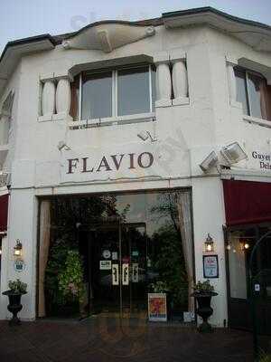 Flavio Le Club De La Foret