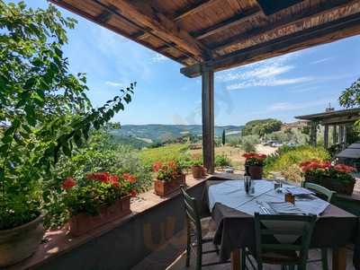 Cantinetta Sassolini, Greve in Chianti